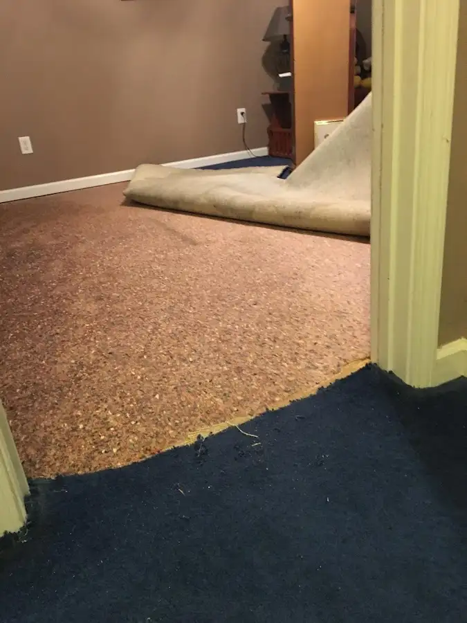 Carpet pad removal revealing water damage during Water Mitigation Services in Oildale