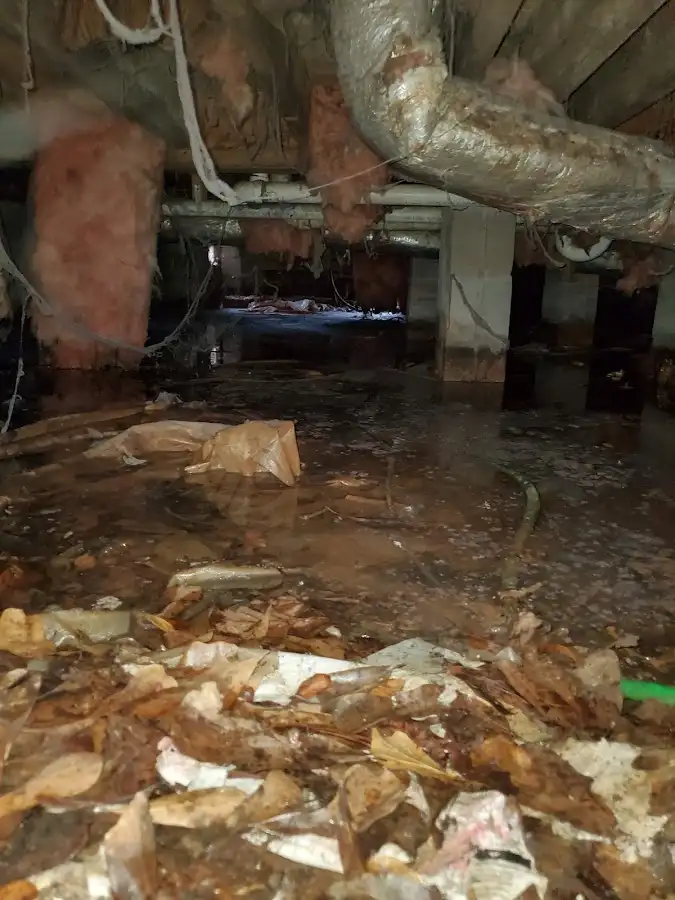 Crawl space flood assessment for Leak Detection & Repair in Oildale